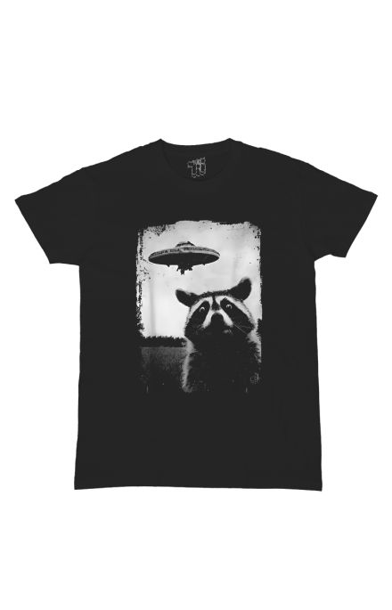 Ufo Raccoon
